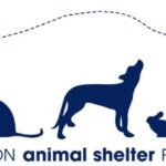 Southampton Animal Shelter Foundation