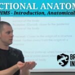 The Brookbush Institute Announces New Lessons on the Anatomical Position and Anatomical Directions