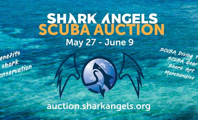 Shark Angels Online Scuba Auction to benefit Shark Conservation launches May 27-June 9