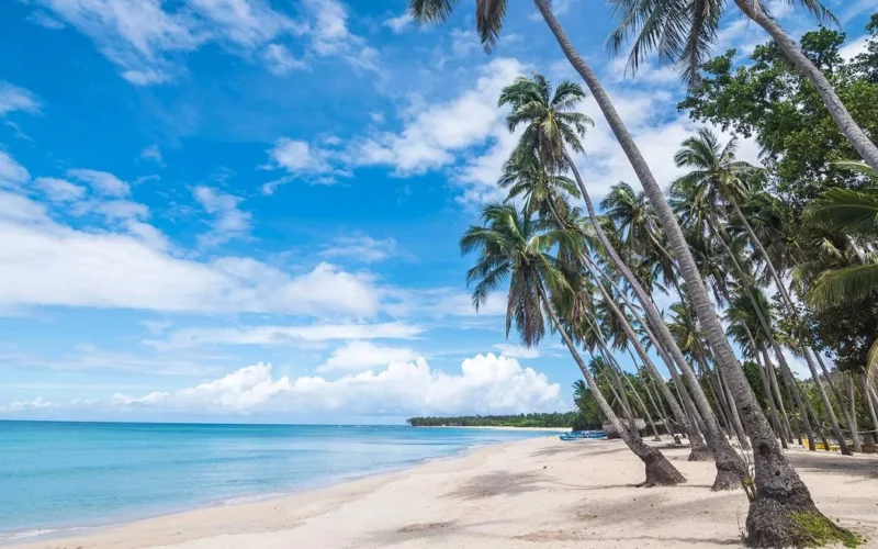 Fly to one of the world’s best beaches for £25 – but note deadly warning