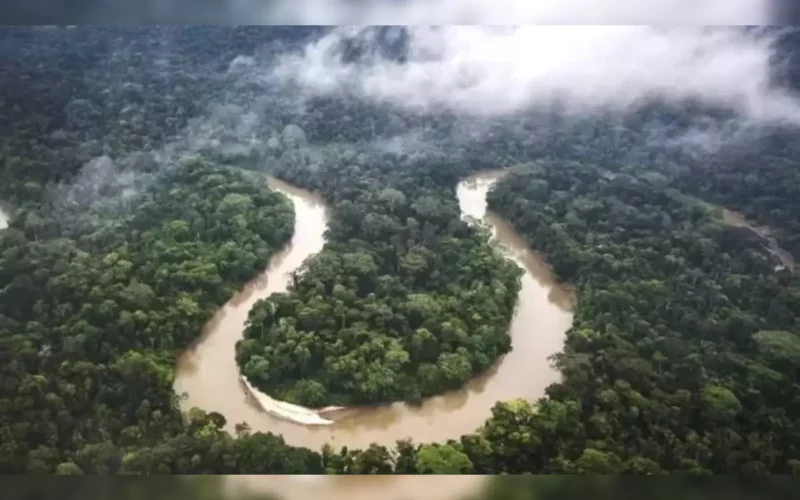 Severe drought has returned to the Amazon. And it’s happening earlier than expected