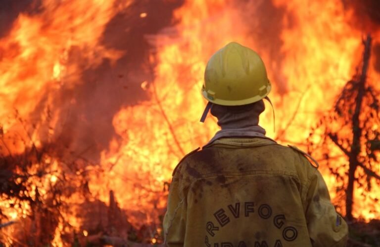 Wildfires Rage Across South America Triggering Urgent Global Response