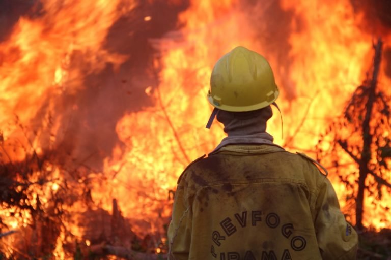 Wildfires Rage Across South America Triggering Urgent Global Response