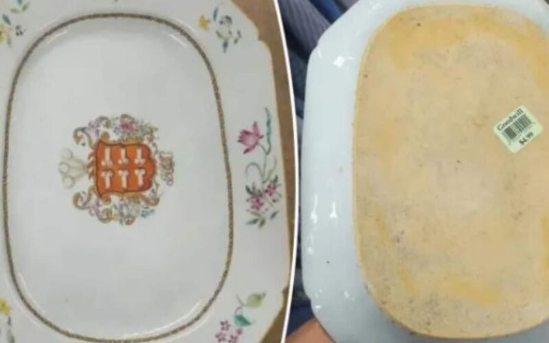 US man buys ‘pristine’ plate for ₹415, later finds out it's worth ₹3.8 lakh